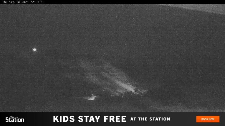 Webcam Perisher: Blue cow