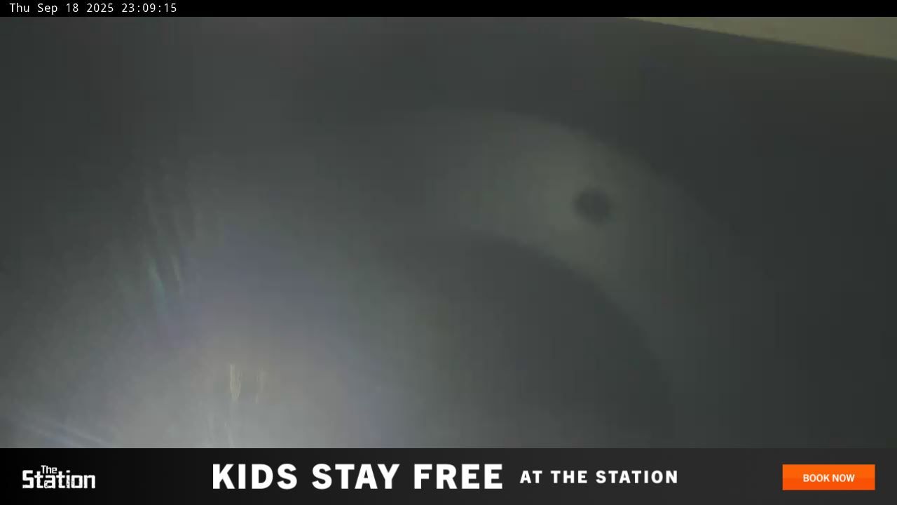 Webcam Perisher: Blue cow