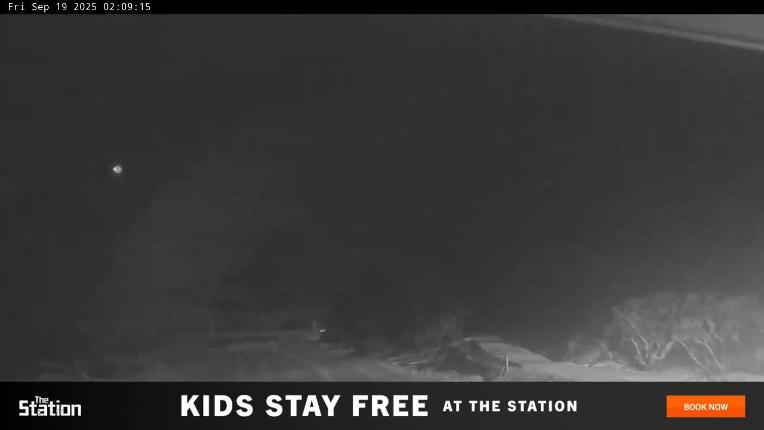 Webcam Perisher: Blue cow