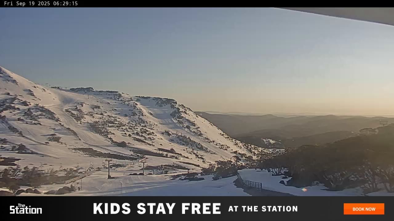 Webcam Perisher: Blue cow
