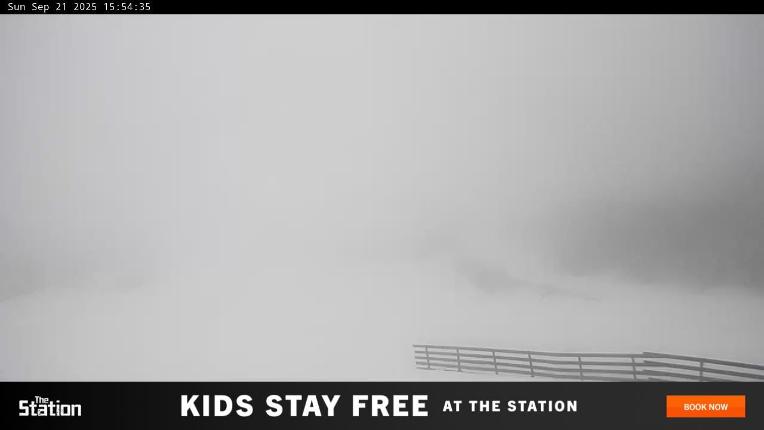 Webcam Perisher: Blue cow