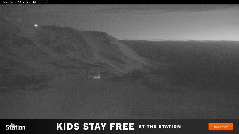Webcam Perisher: Blue cow