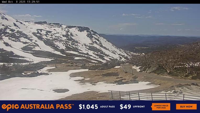 Webcam Perisher: Blue cow