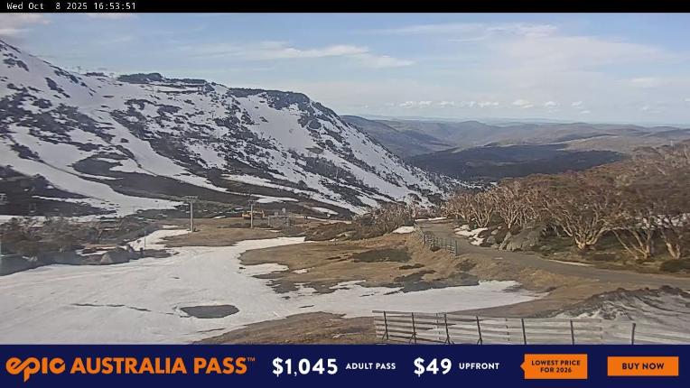Webcam Perisher: Blue cow