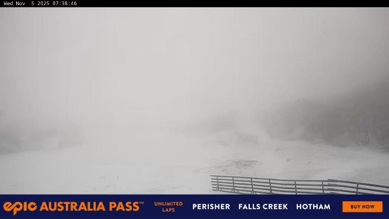Webcam Perisher: Blue cow