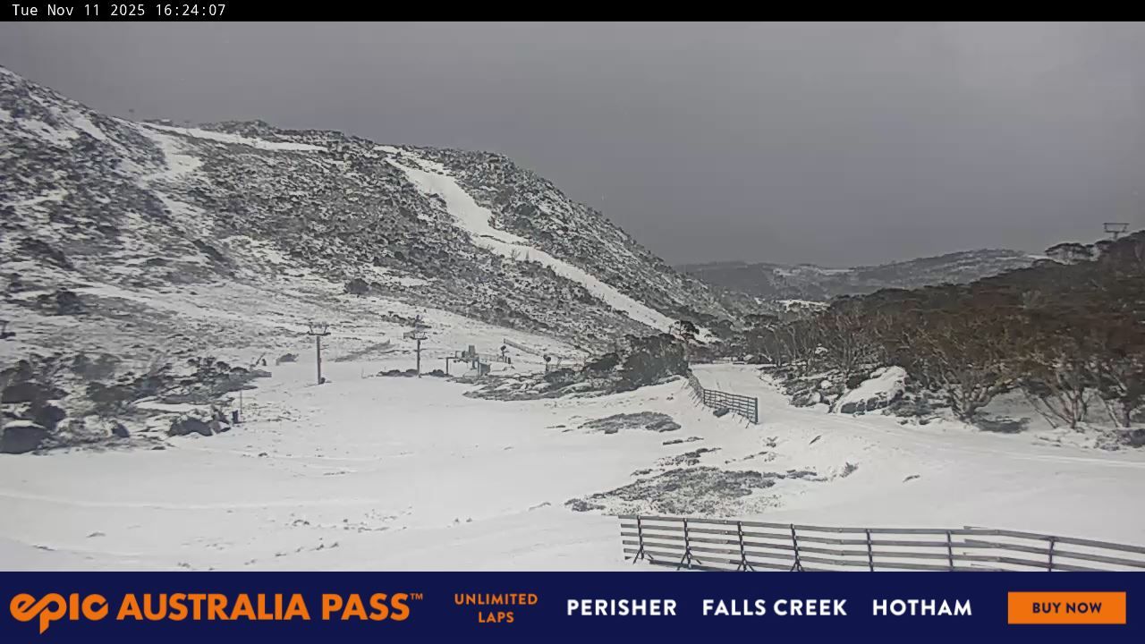 Webcam Perisher: Blue cow