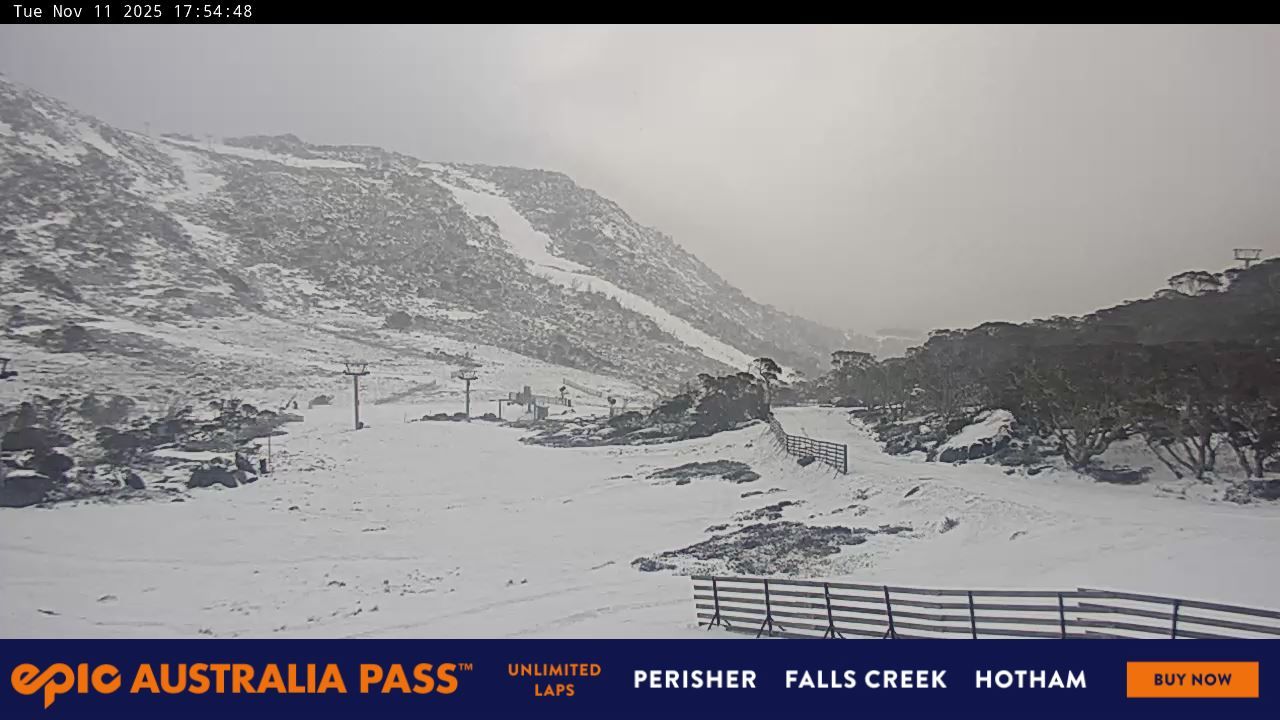 Webcam Perisher: Blue cow