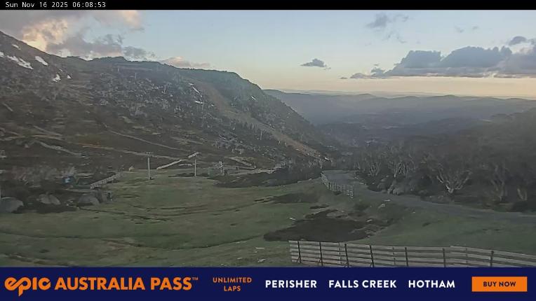 Webcam Perisher: Blue cow