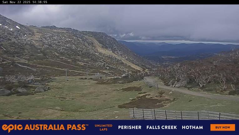 Webcam Perisher: Blue cow