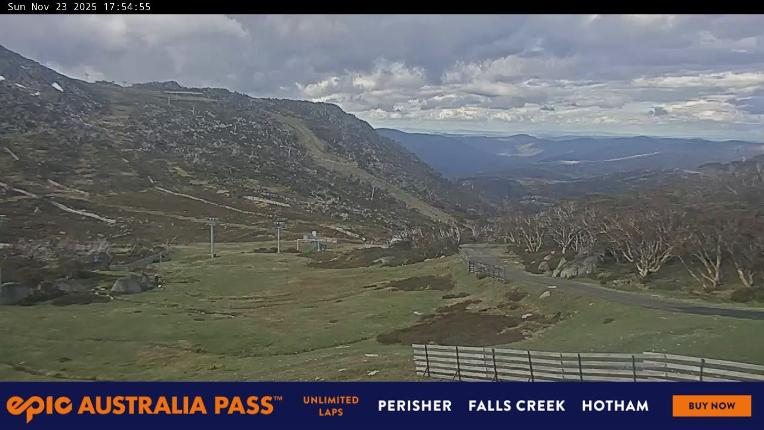 Webcam Perisher: Blue cow