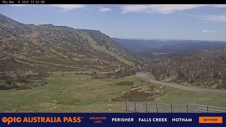 Webcam Perisher: Blue cow