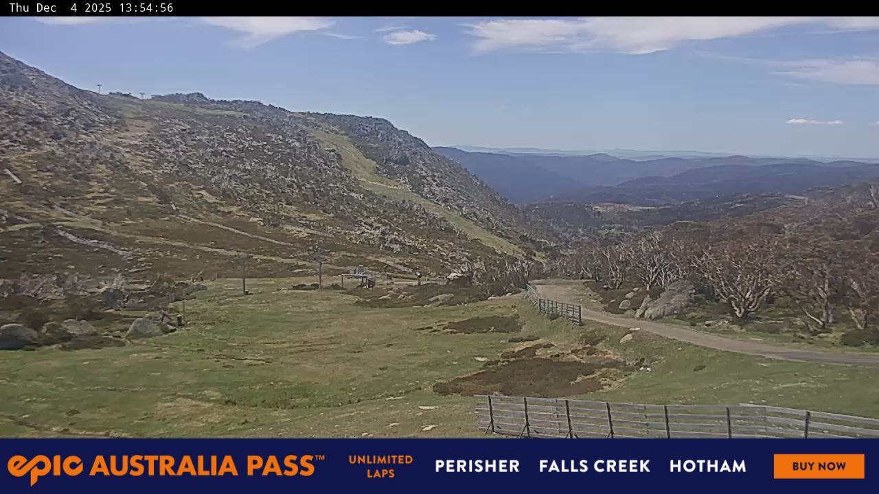 Webcam Perisher: Blue cow