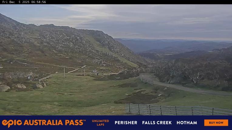Webcam Perisher: Blue cow