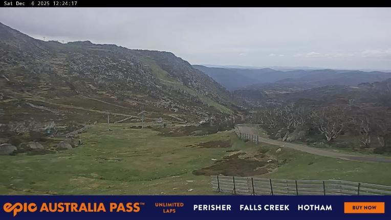 Webcam Perisher: Blue cow