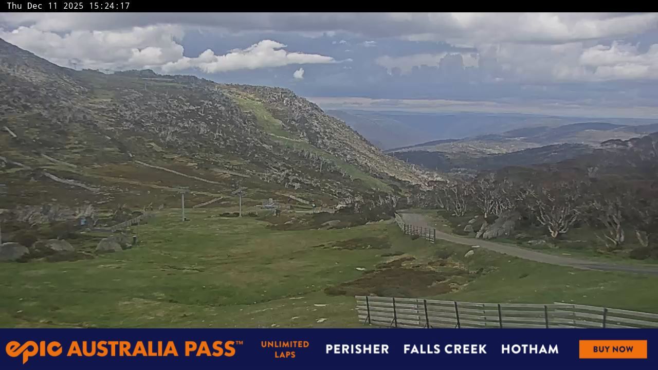 Webcam Perisher: Blue cow