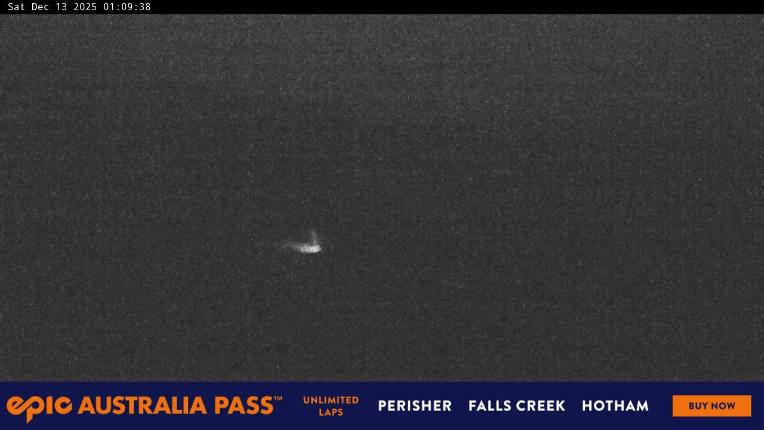 Webcam Perisher: Blue cow