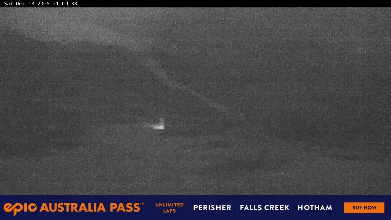 Webcam Perisher: Blue cow