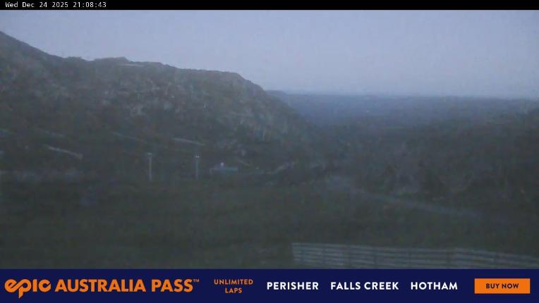 Webcam Perisher: Blue cow