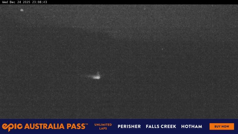 Webcam Perisher: Blue cow