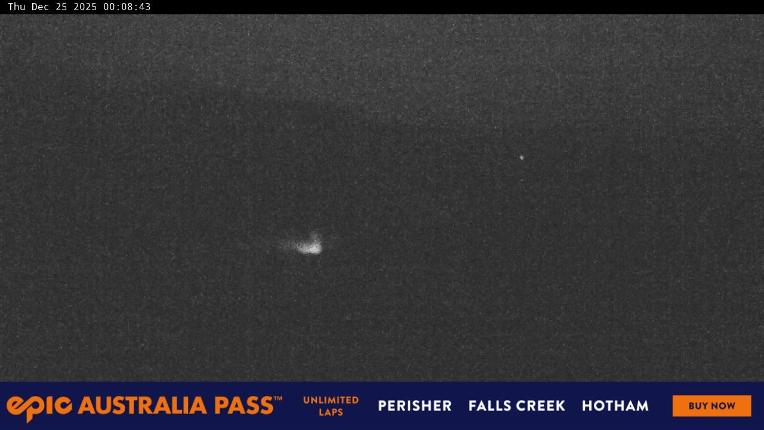 Webcam Perisher: Blue cow