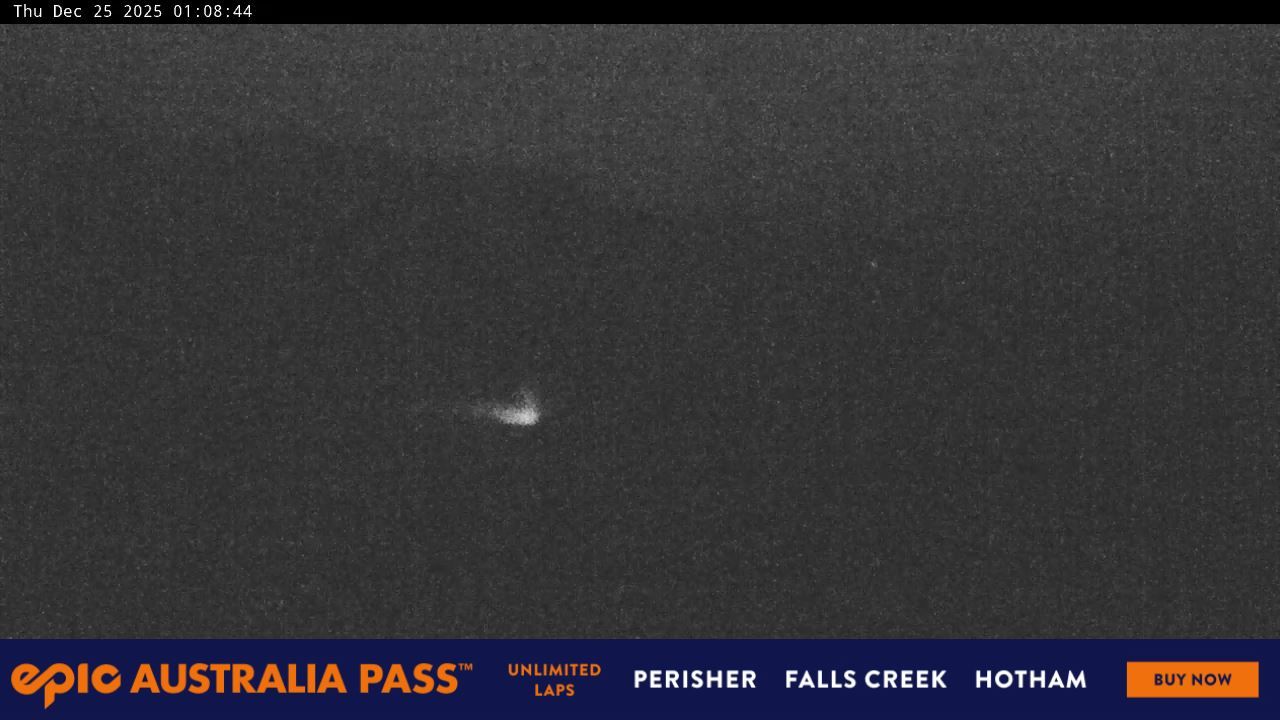 Webcam Perisher: Blue cow