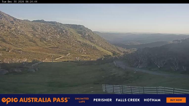 Webcam Perisher: Blue cow