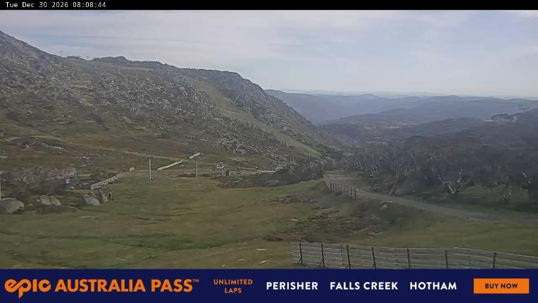 Webcam Perisher: Blue cow