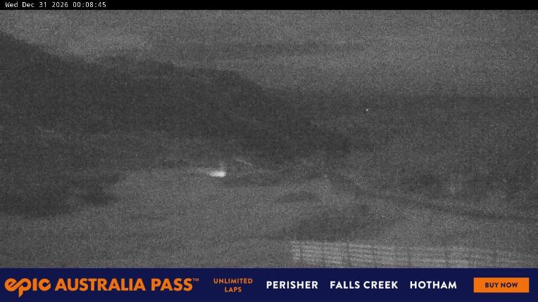 Webcam Perisher: Blue cow
