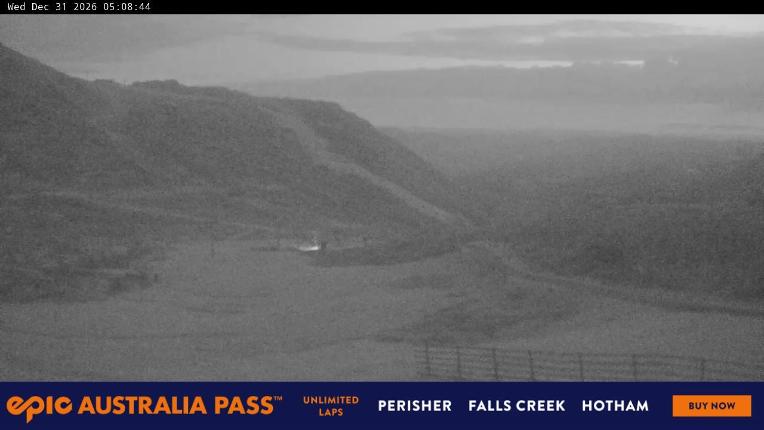 Webcam Perisher: Blue cow