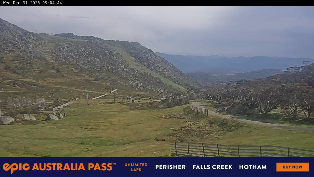 Webcam Perisher: Blue cow