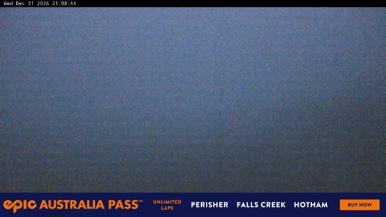 Webcam Perisher: Blue cow