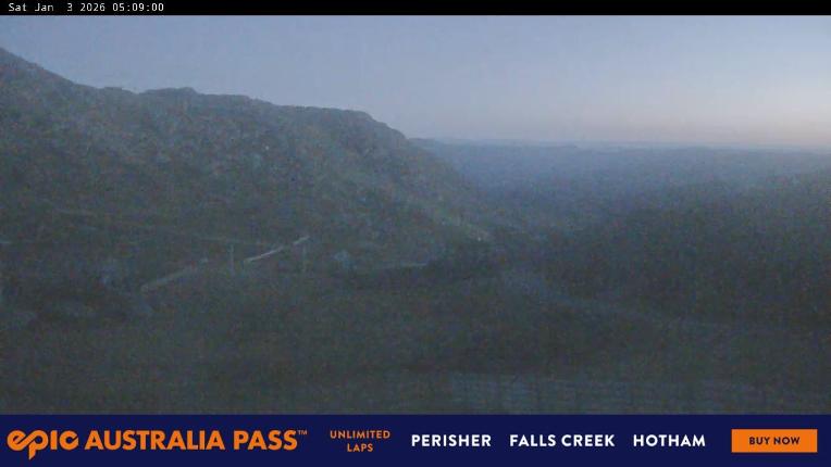 Webcam Perisher: Blue cow