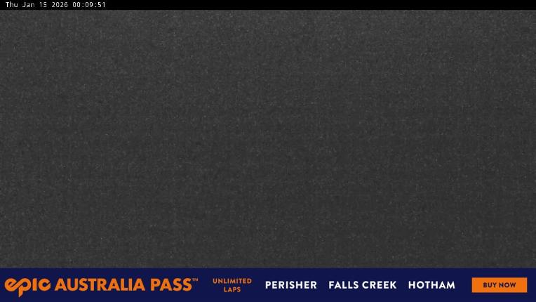 Webcam Perisher: Blue cow