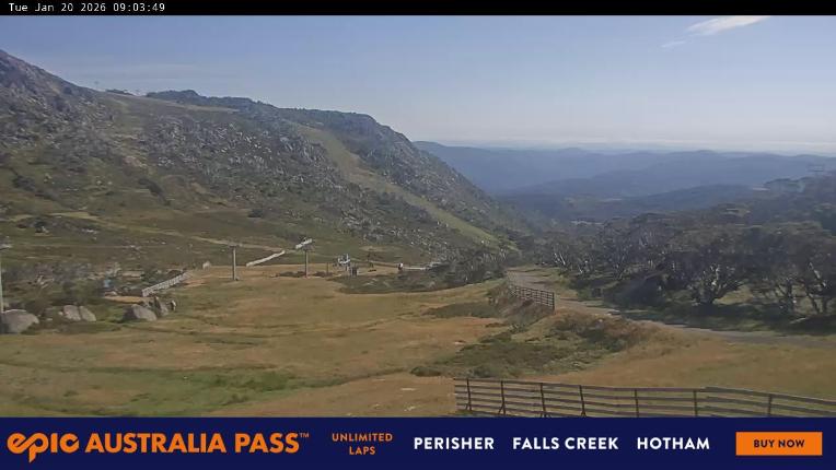 Webcam Perisher: Blue cow