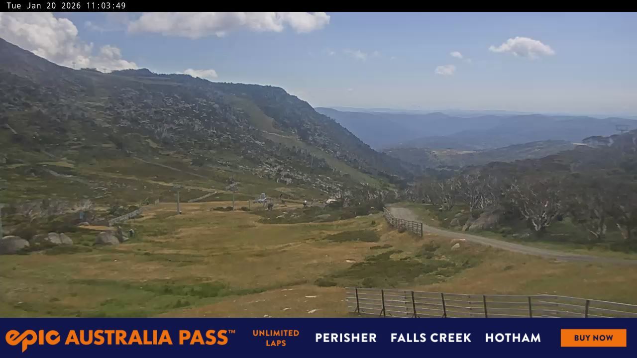 Webcam Perisher: Blue cow
