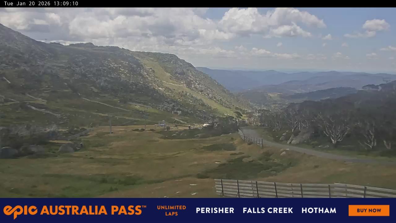 Webcam Perisher: Blue cow