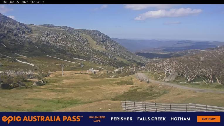 Webcam Perisher: Blue cow