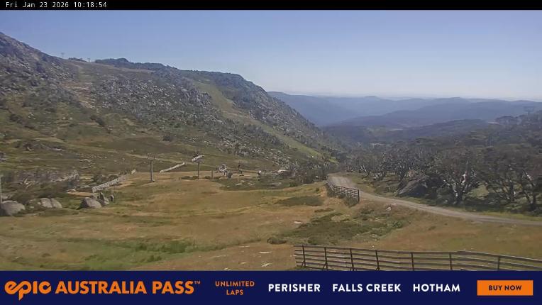 Webcam Perisher: Blue cow