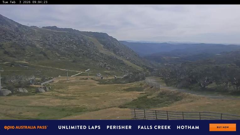 Webcam Perisher: Blue cow