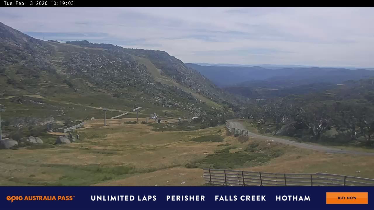 Webcam Perisher: Blue cow