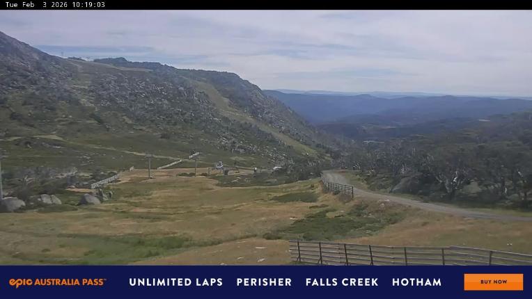 Webcam Perisher: Blue cow