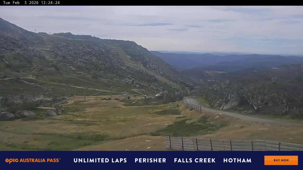Webcam Perisher: Blue cow