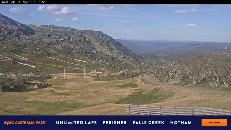 Webcam Perisher: Blue cow