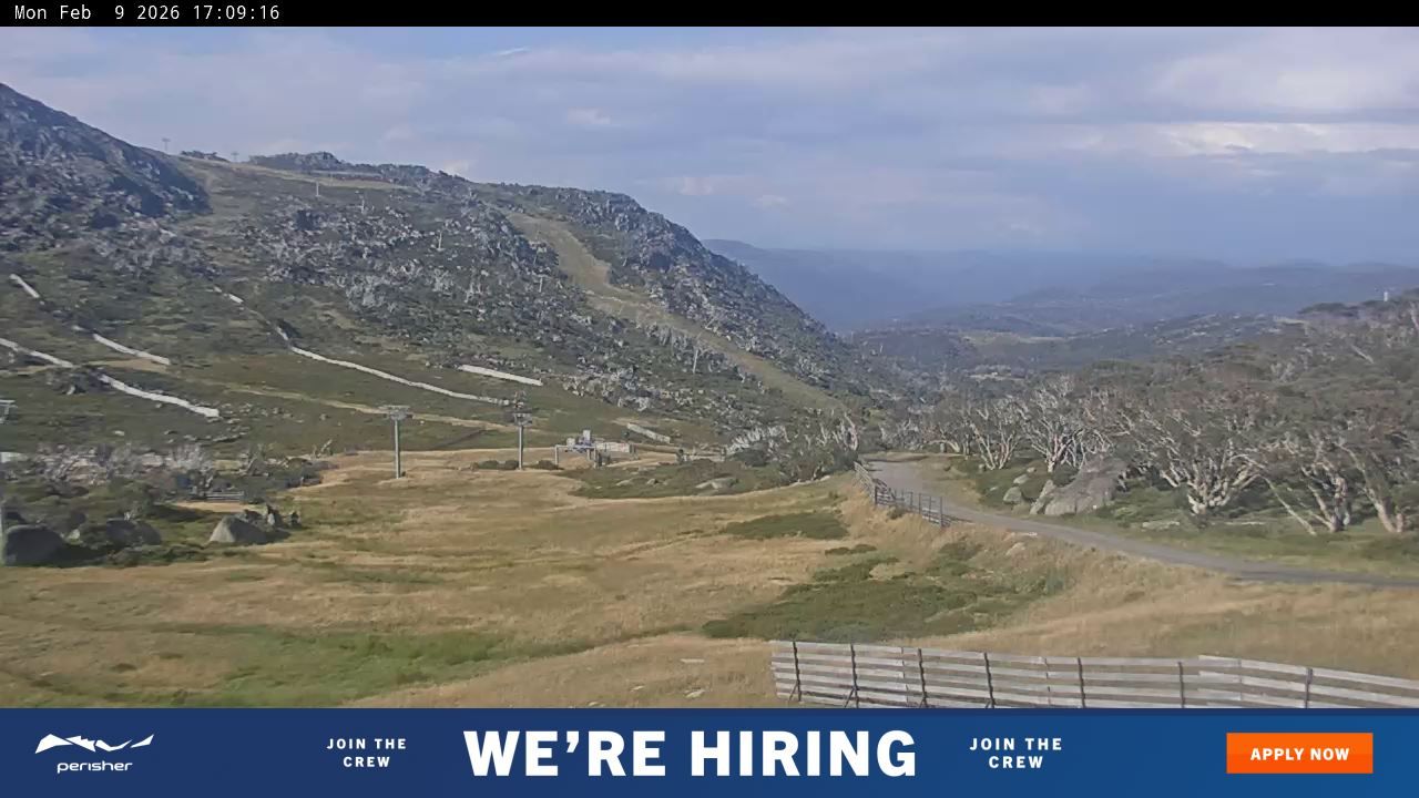 Webcam Perisher: Blue cow