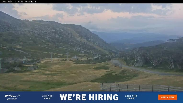Webcam Perisher: Blue cow