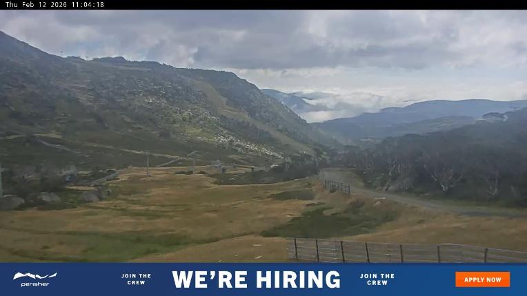 Webcam Perisher: Blue cow