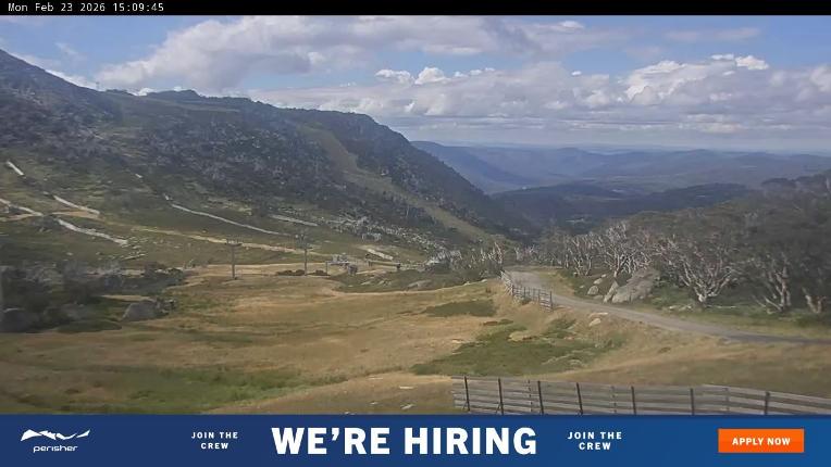 Webcam Perisher: Blue cow