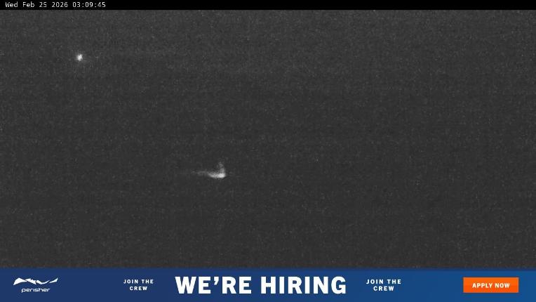 Webcam Perisher: Blue cow