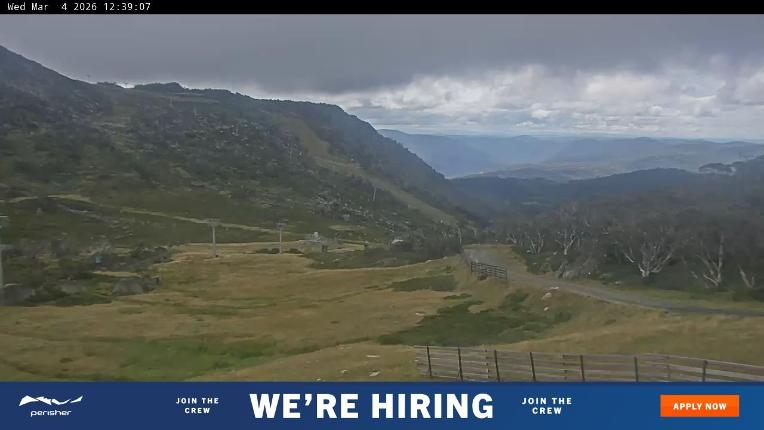 Webcam Perisher: Blue cow