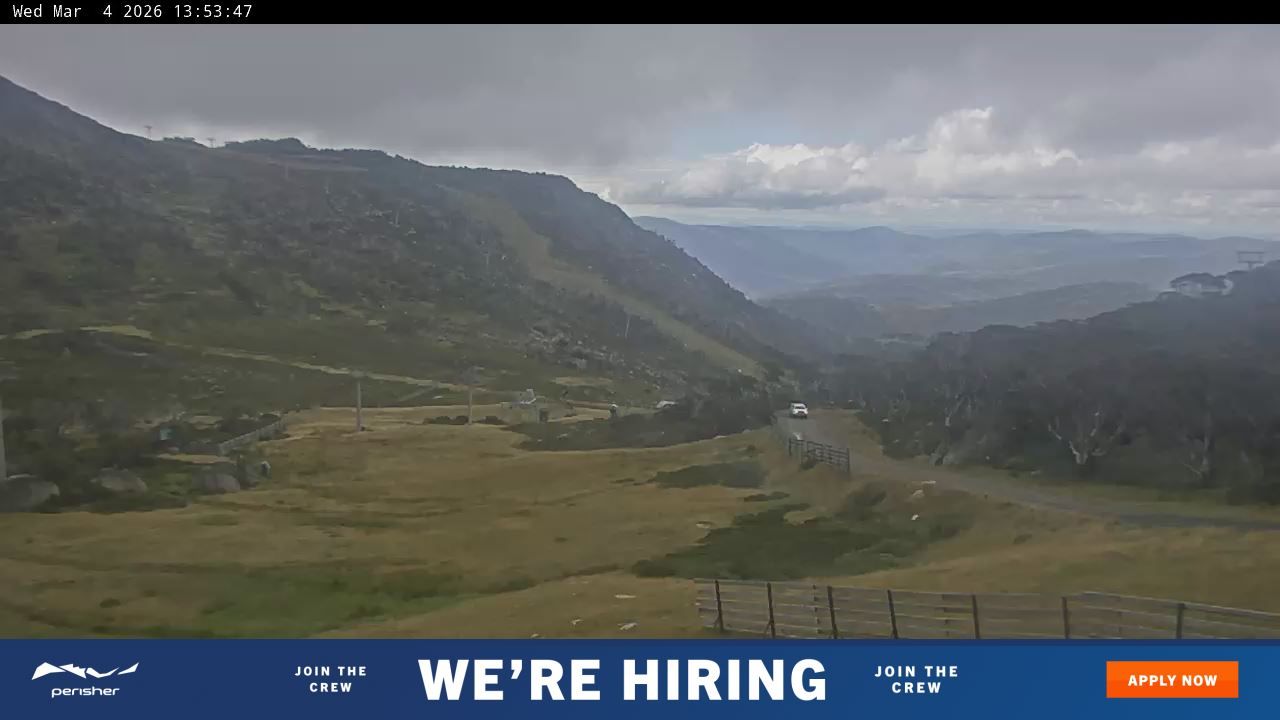 Webcam Perisher: Blue cow